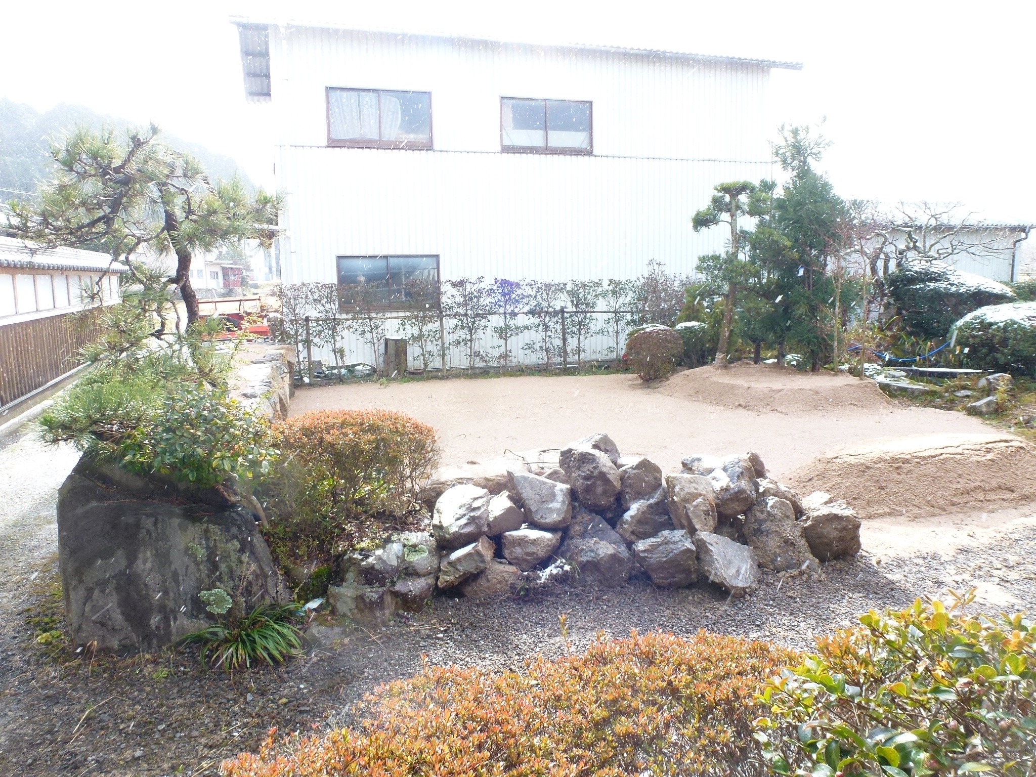 P1140423.JPG