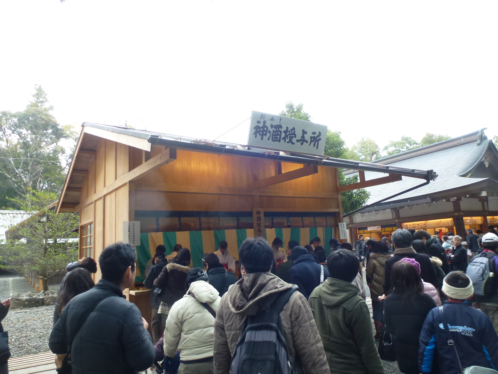 P1140493.JPG