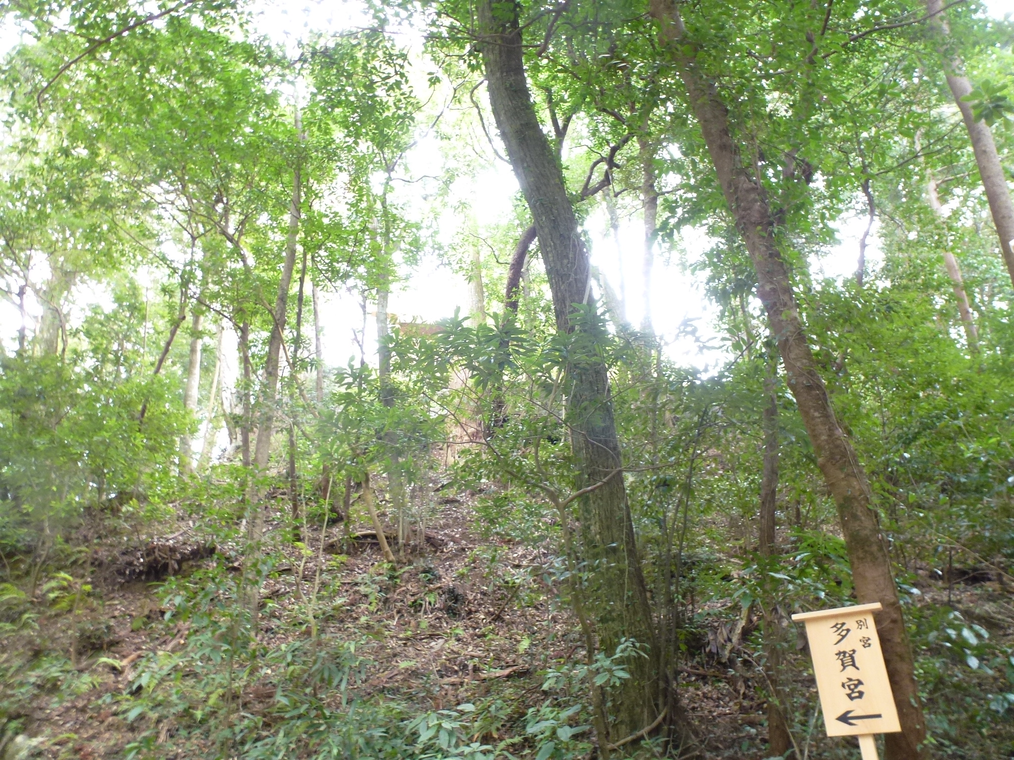 P1140502.JPG