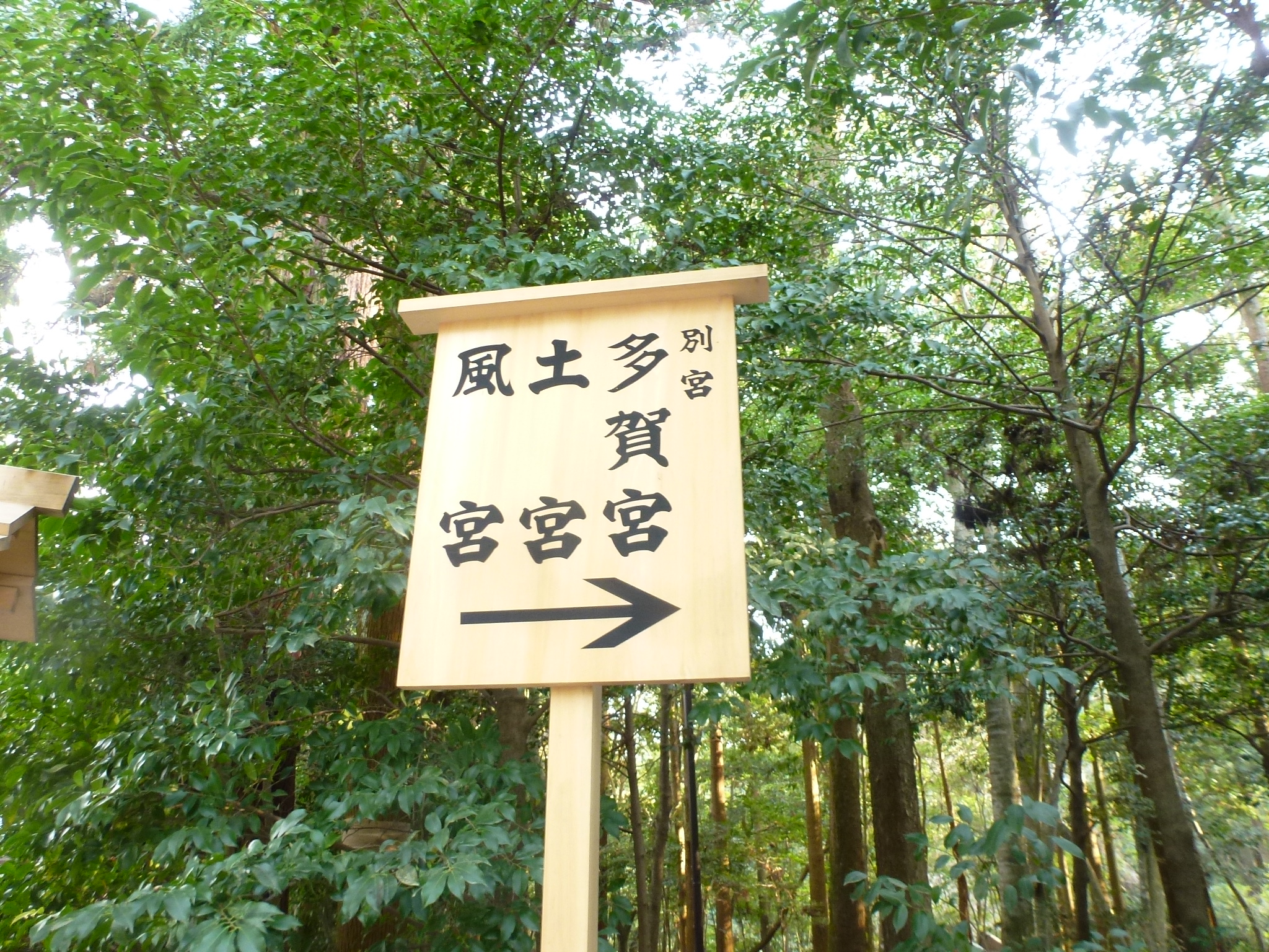 P1140510.JPG