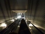 img0003.jpg