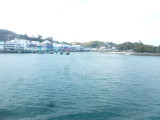 img0037.jpg