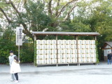 img0072.jpg