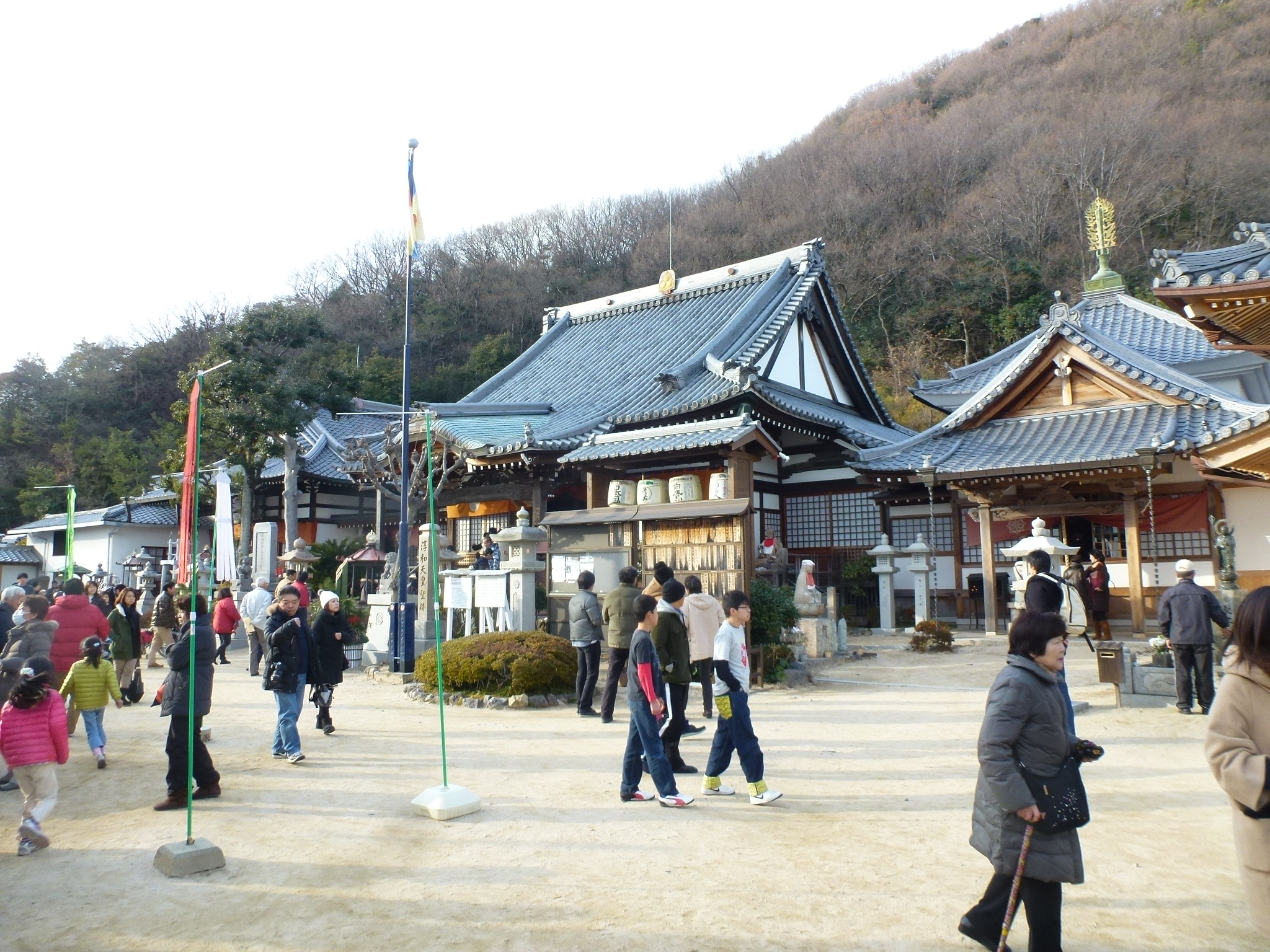 P1140535.JPG