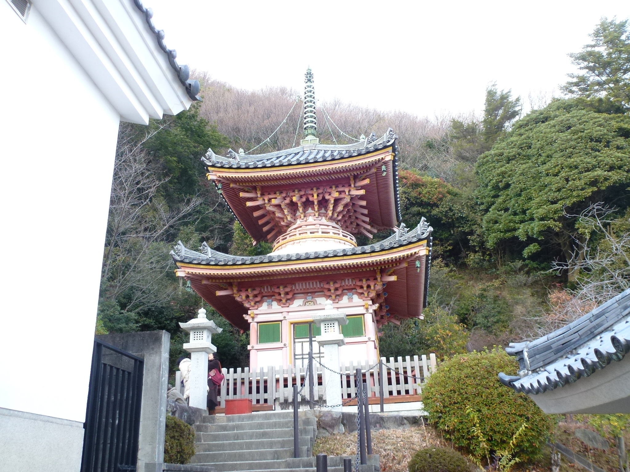 P1140541.JPG