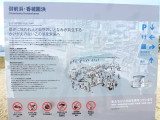 img0008.jpg