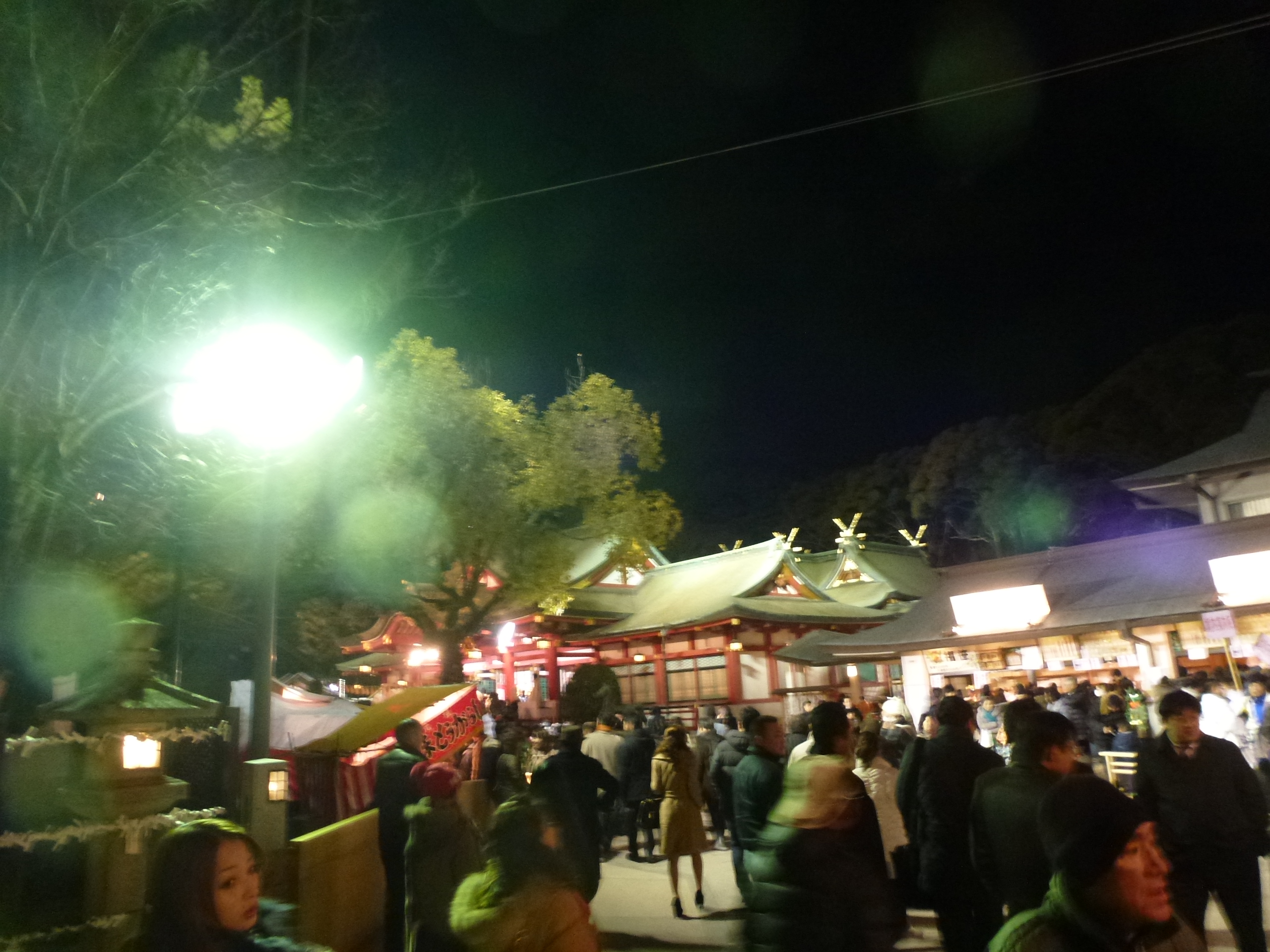 P1140650.JPG