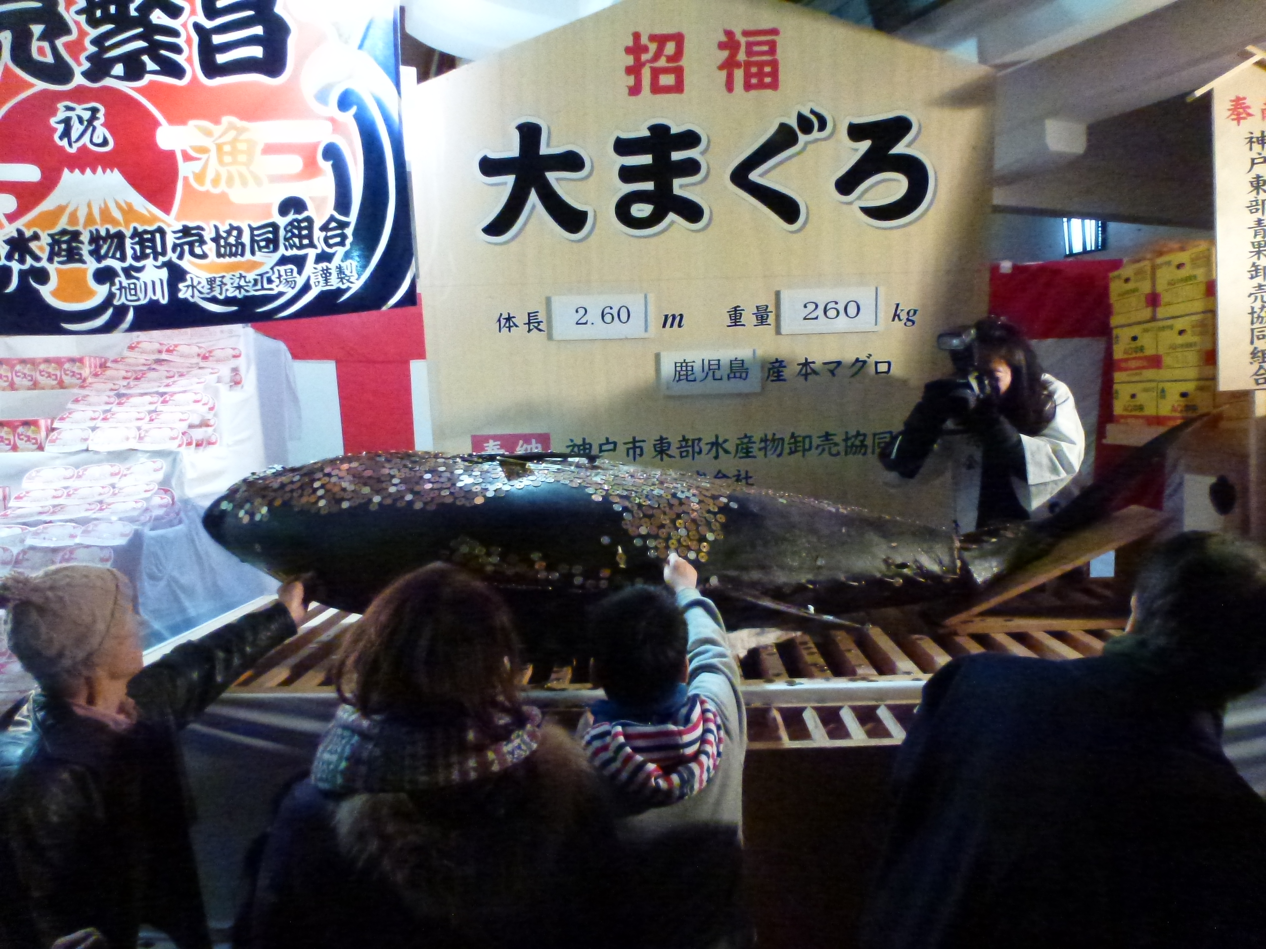 P1140659.JPG