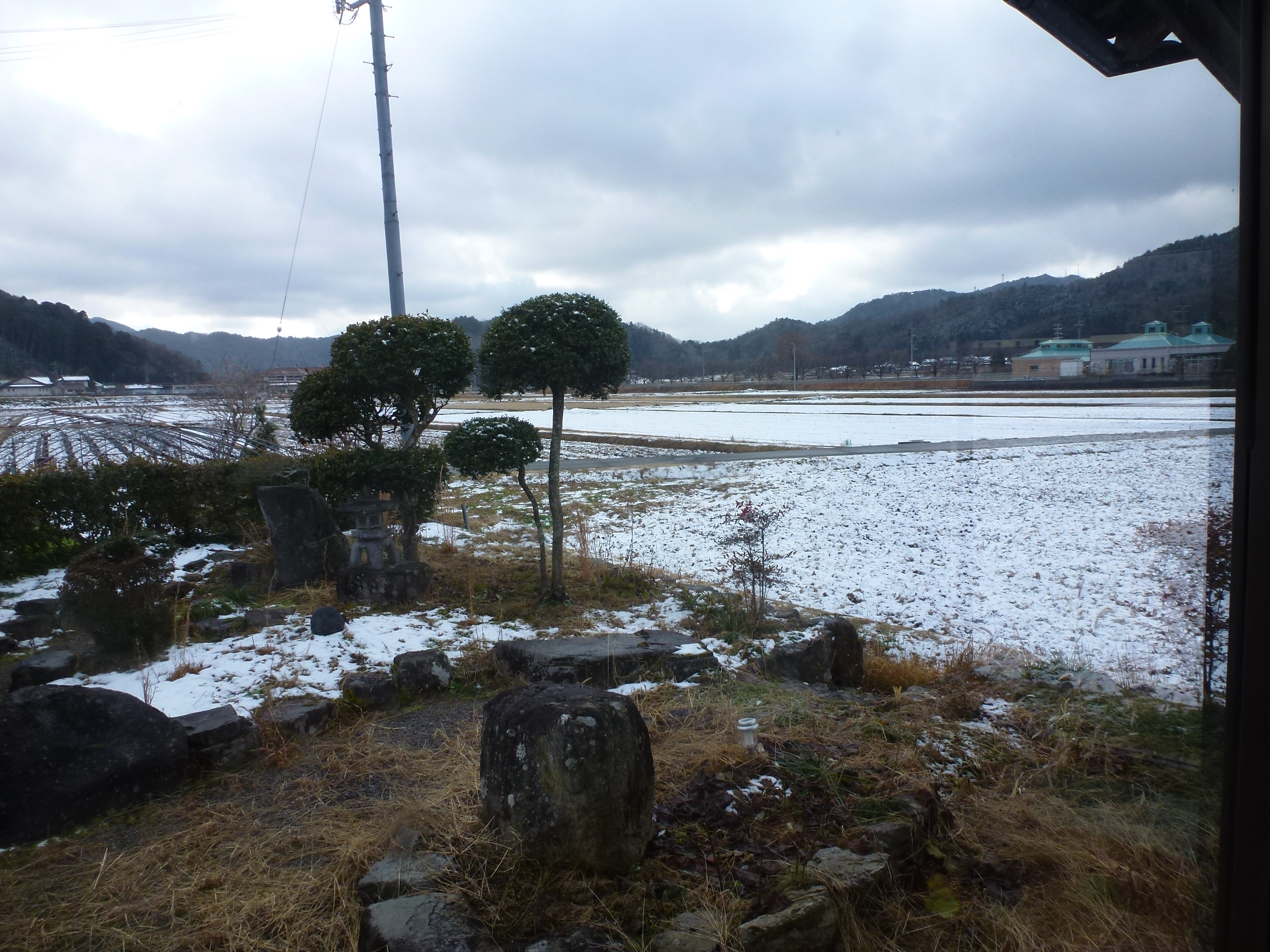 P1140944.JPG