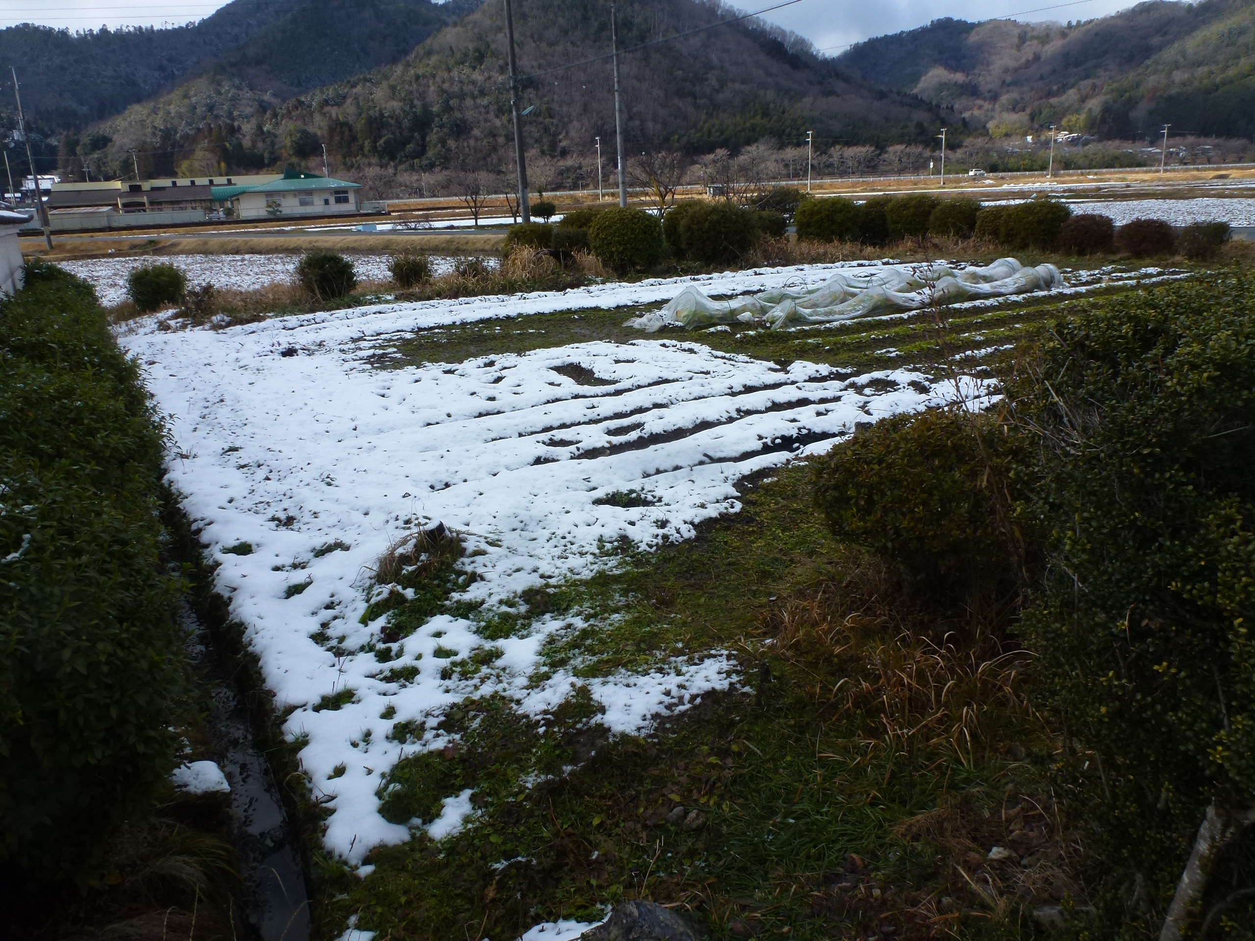 P1140949.JPG