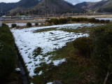 img0005.jpg