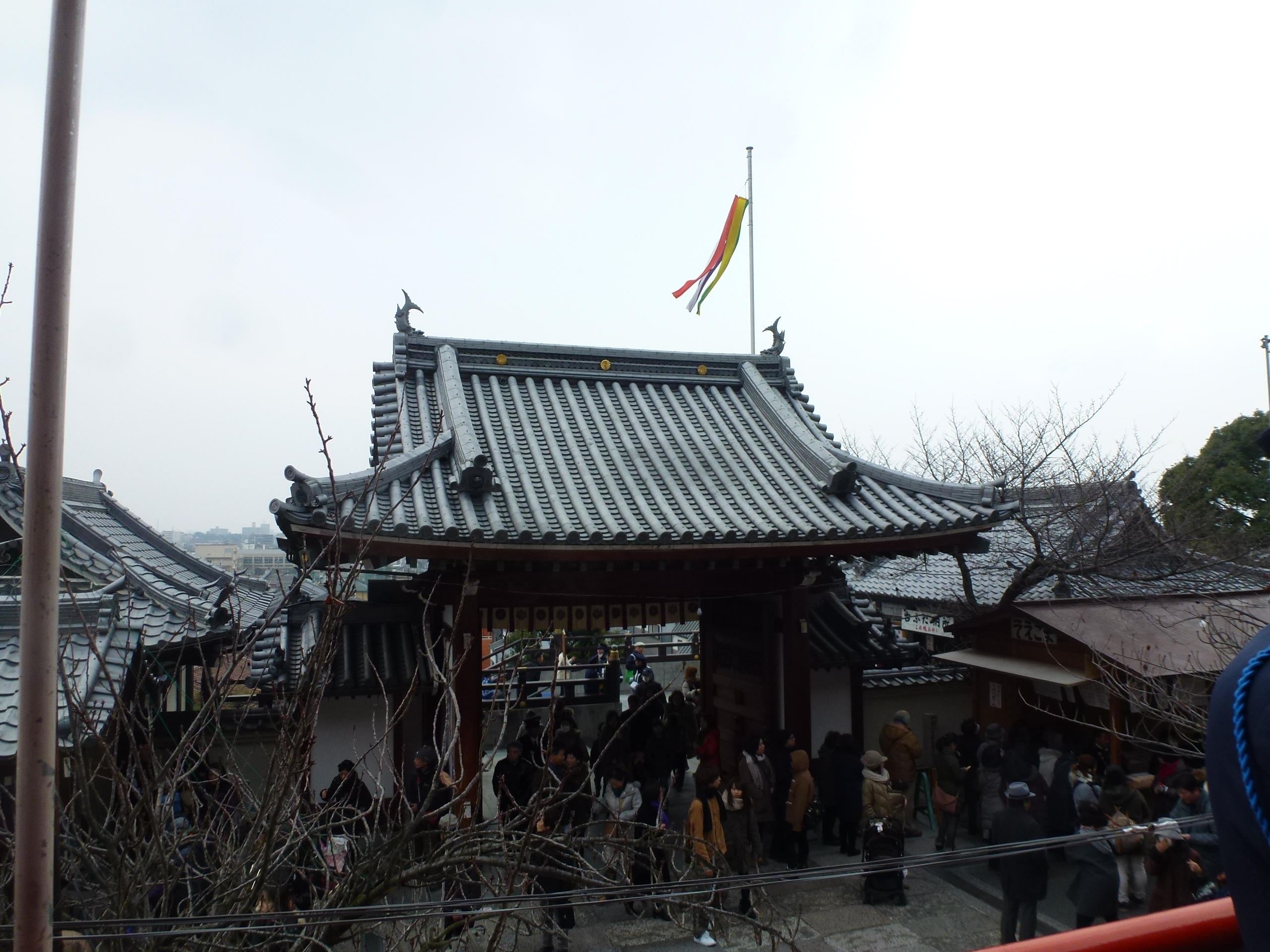 P1150045.JPG