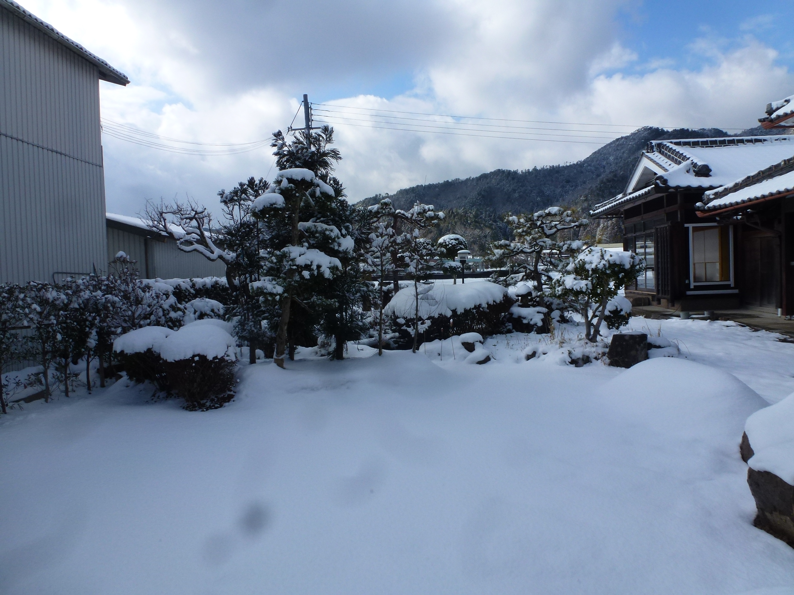 P1150050.JPG