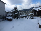 img0001.jpg