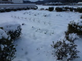 img0006.jpg
