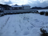 img0007.jpg