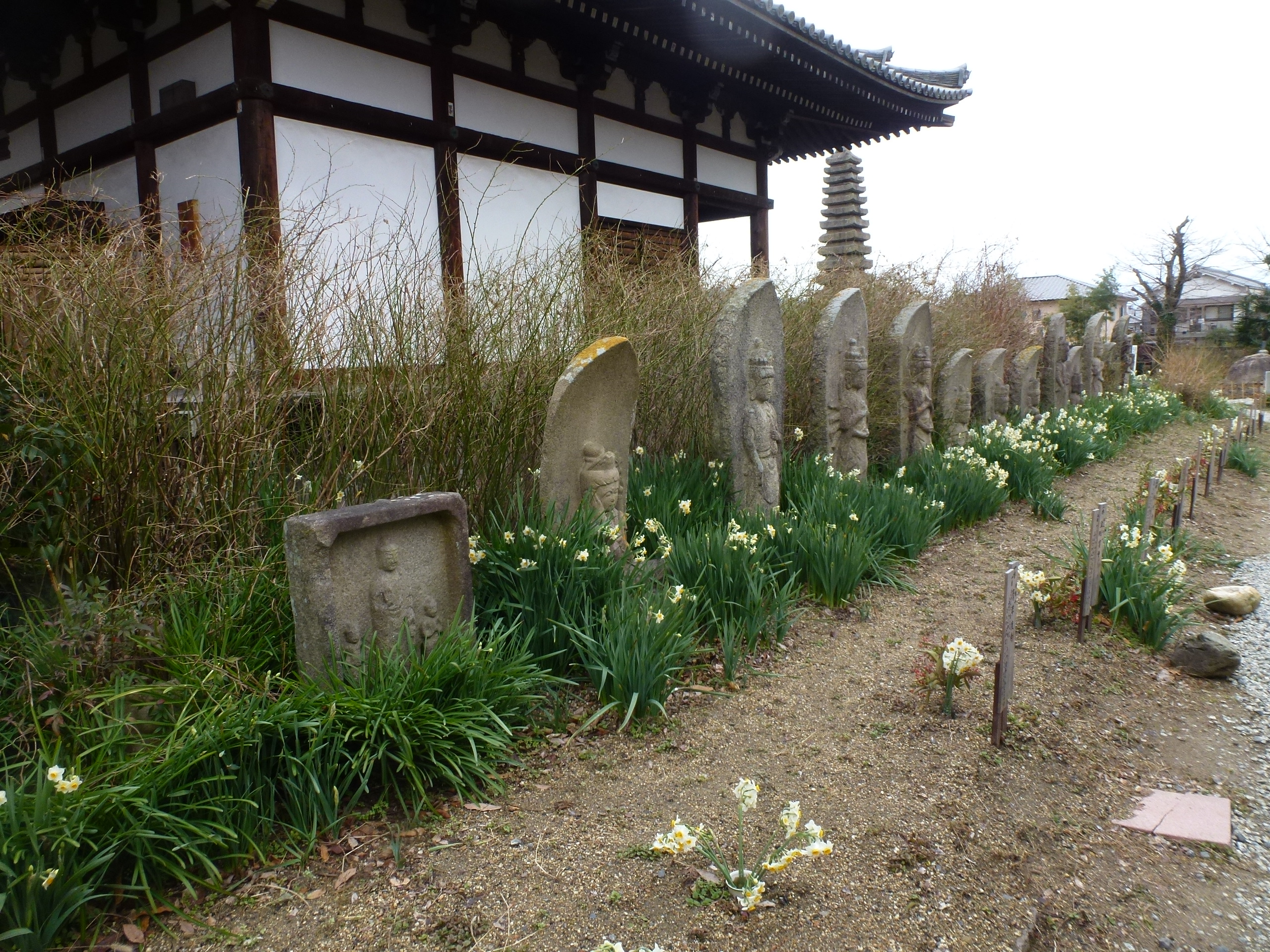 P1150084.JPG