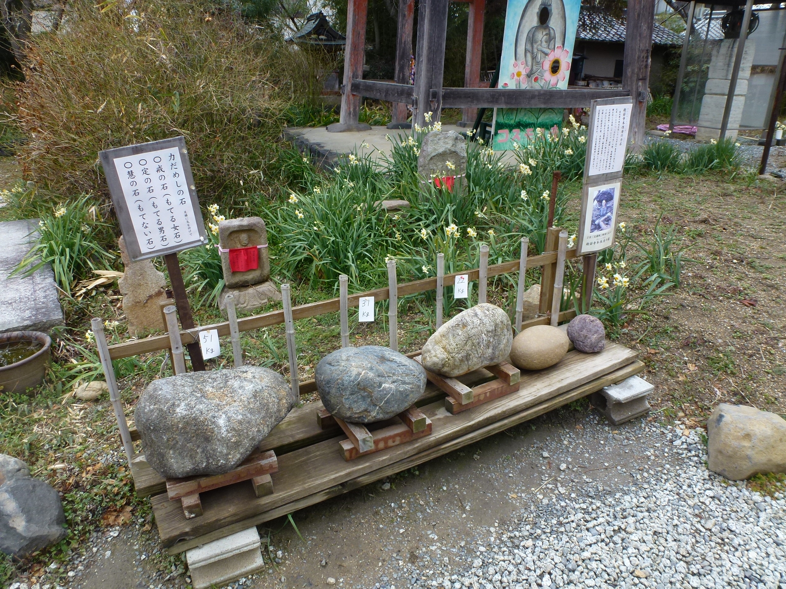 P1150088.JPG