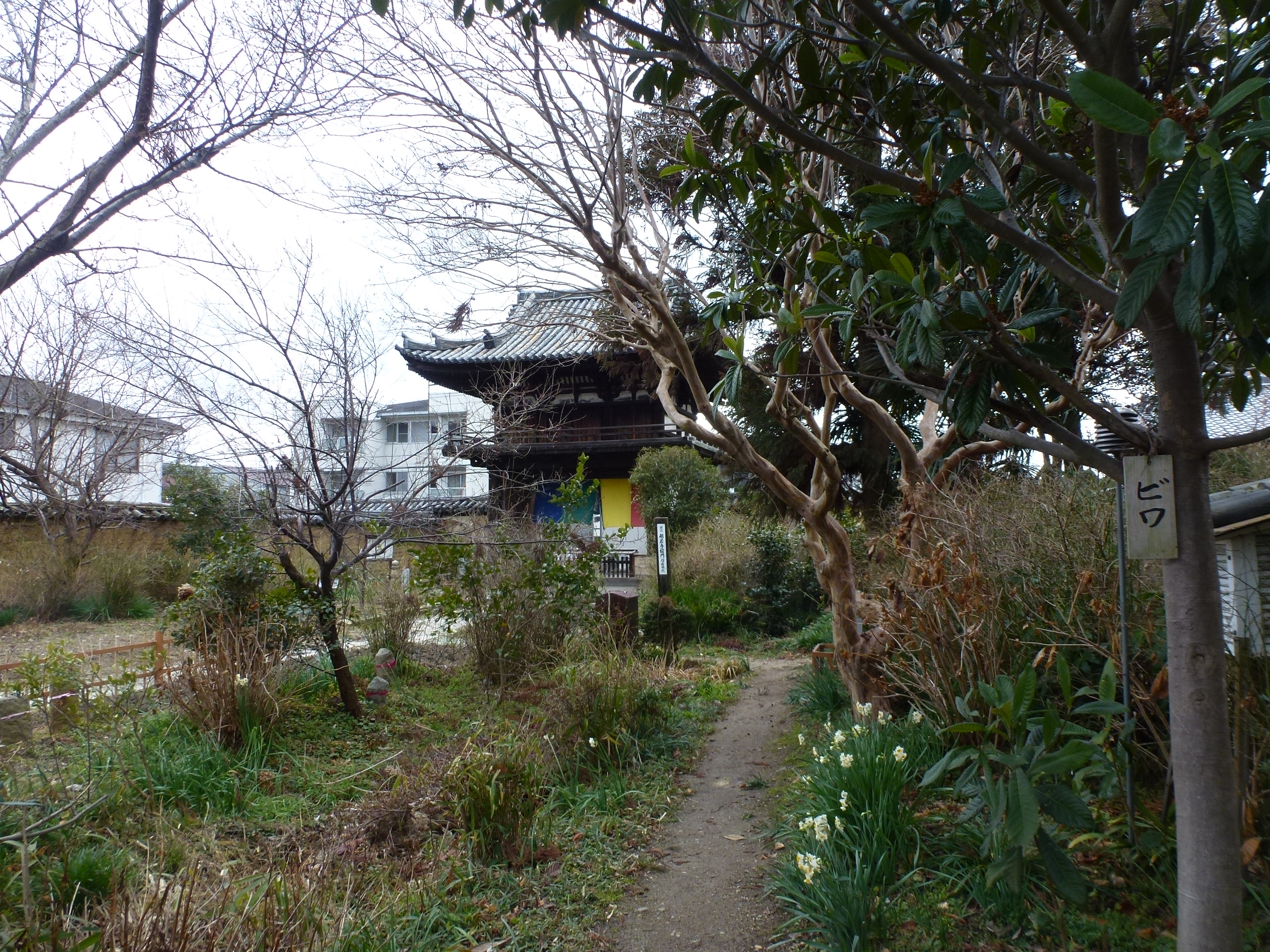P1150089.JPG