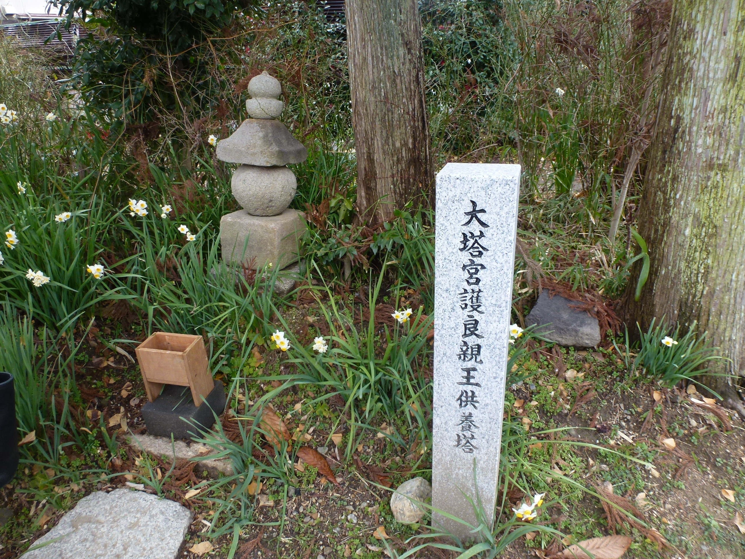 P1150090.JPG