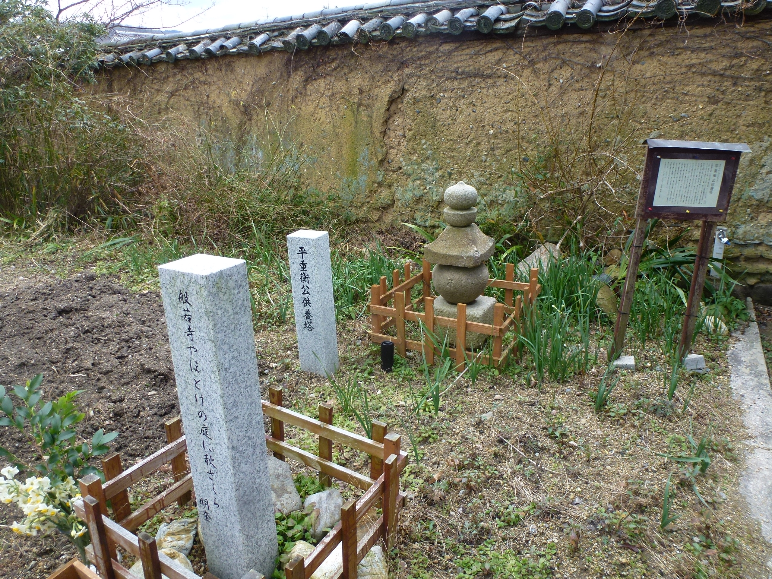 P1150096.JPG
