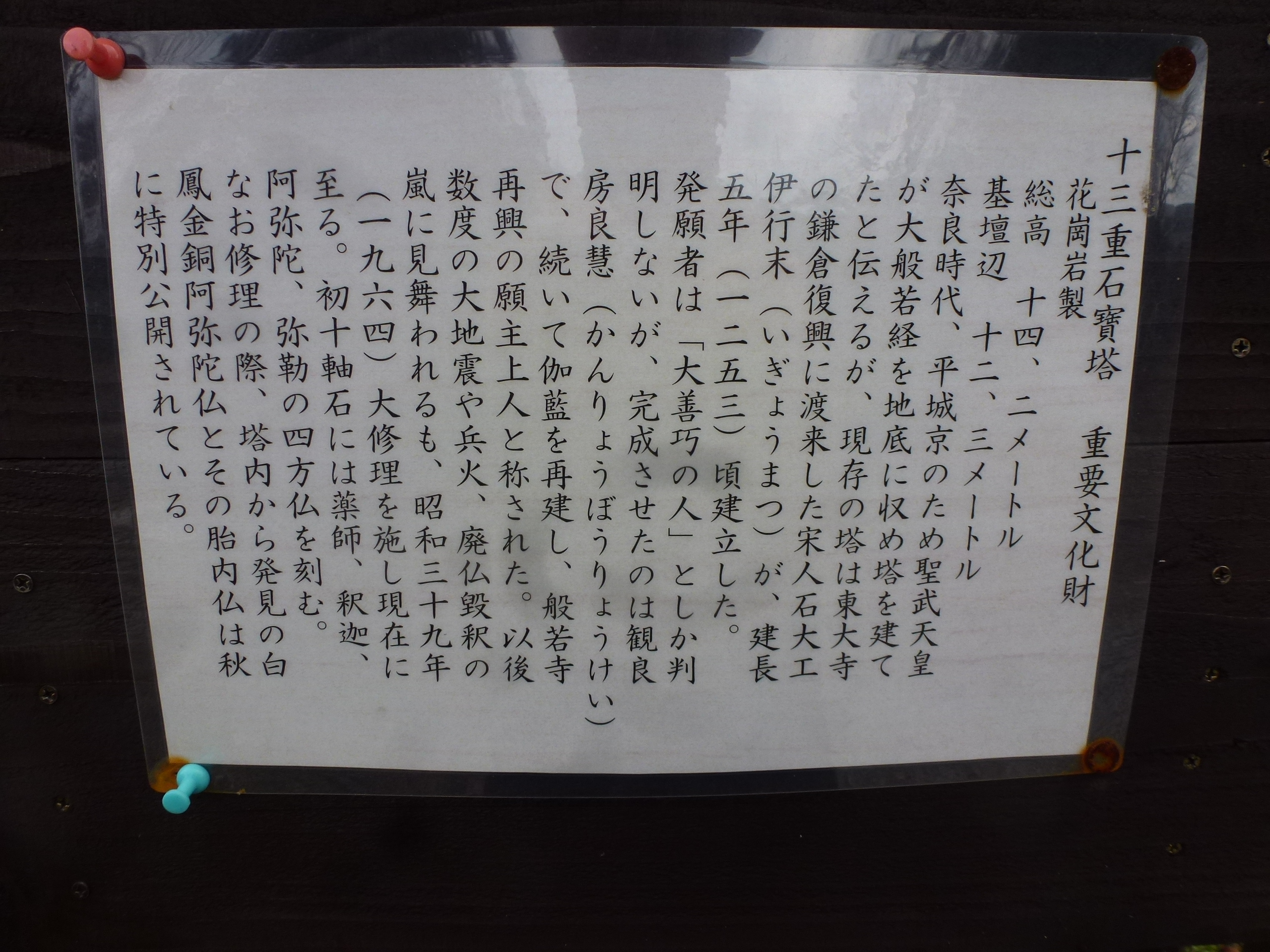 P1150101.JPG