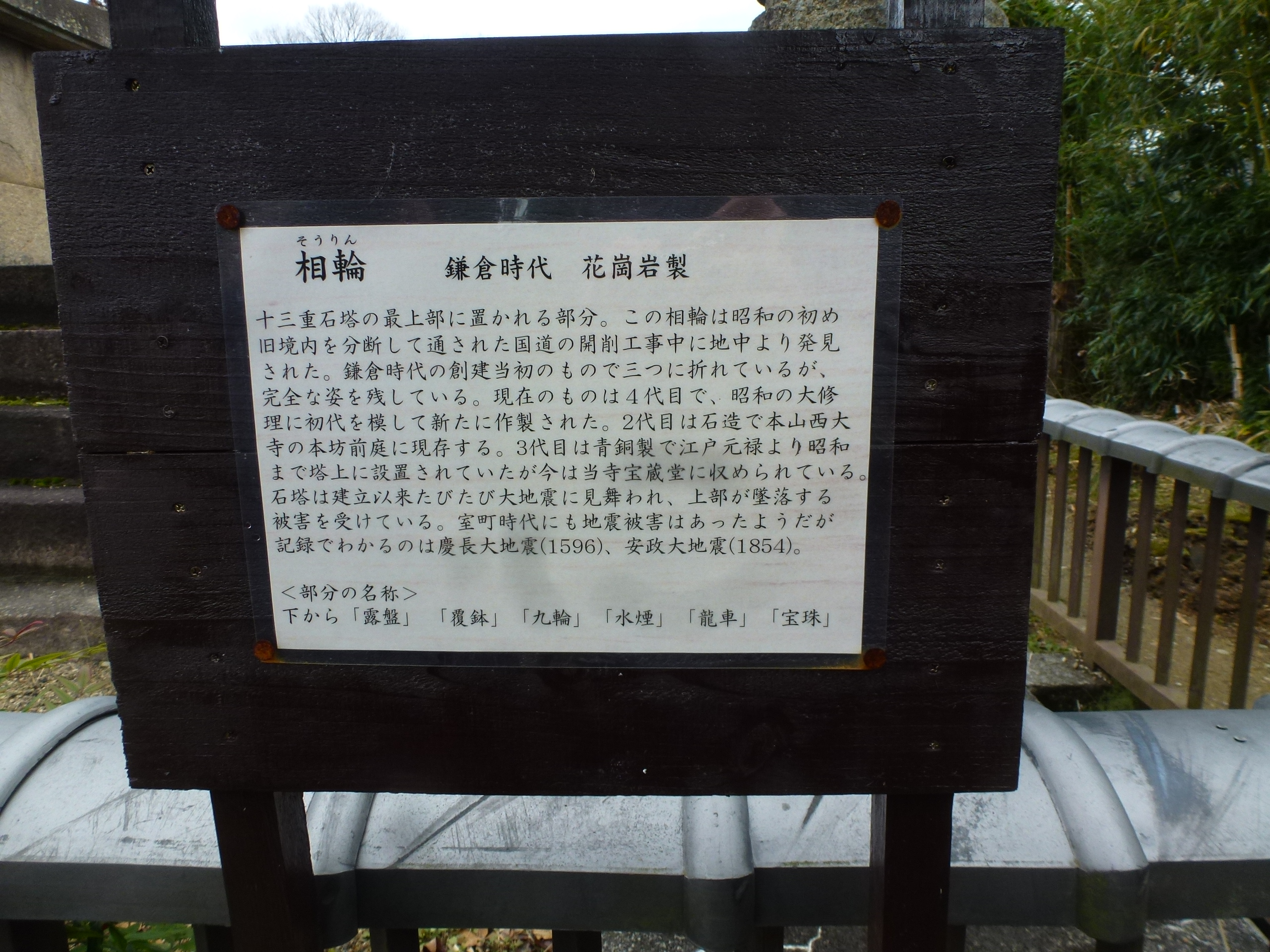 P1150103.JPG
