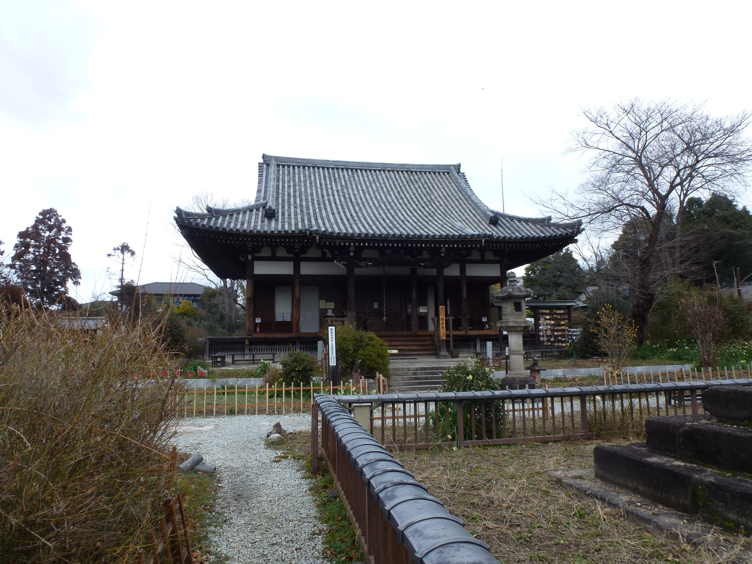 P1150104.JPG