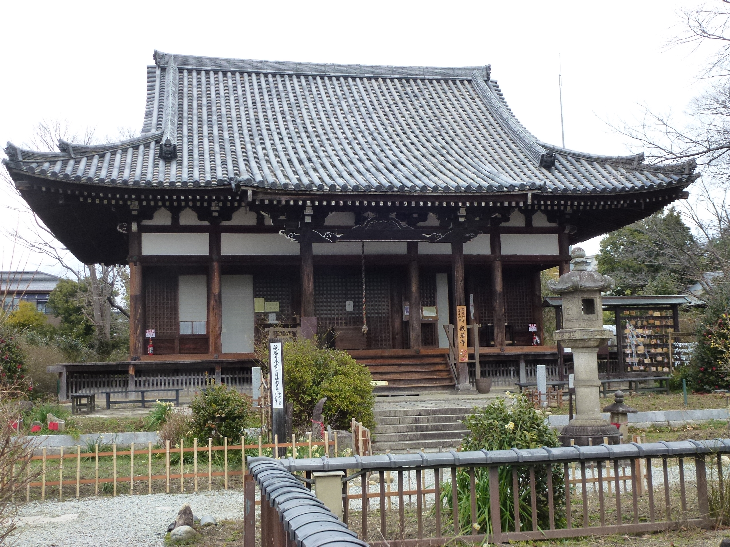 P1150105.JPG