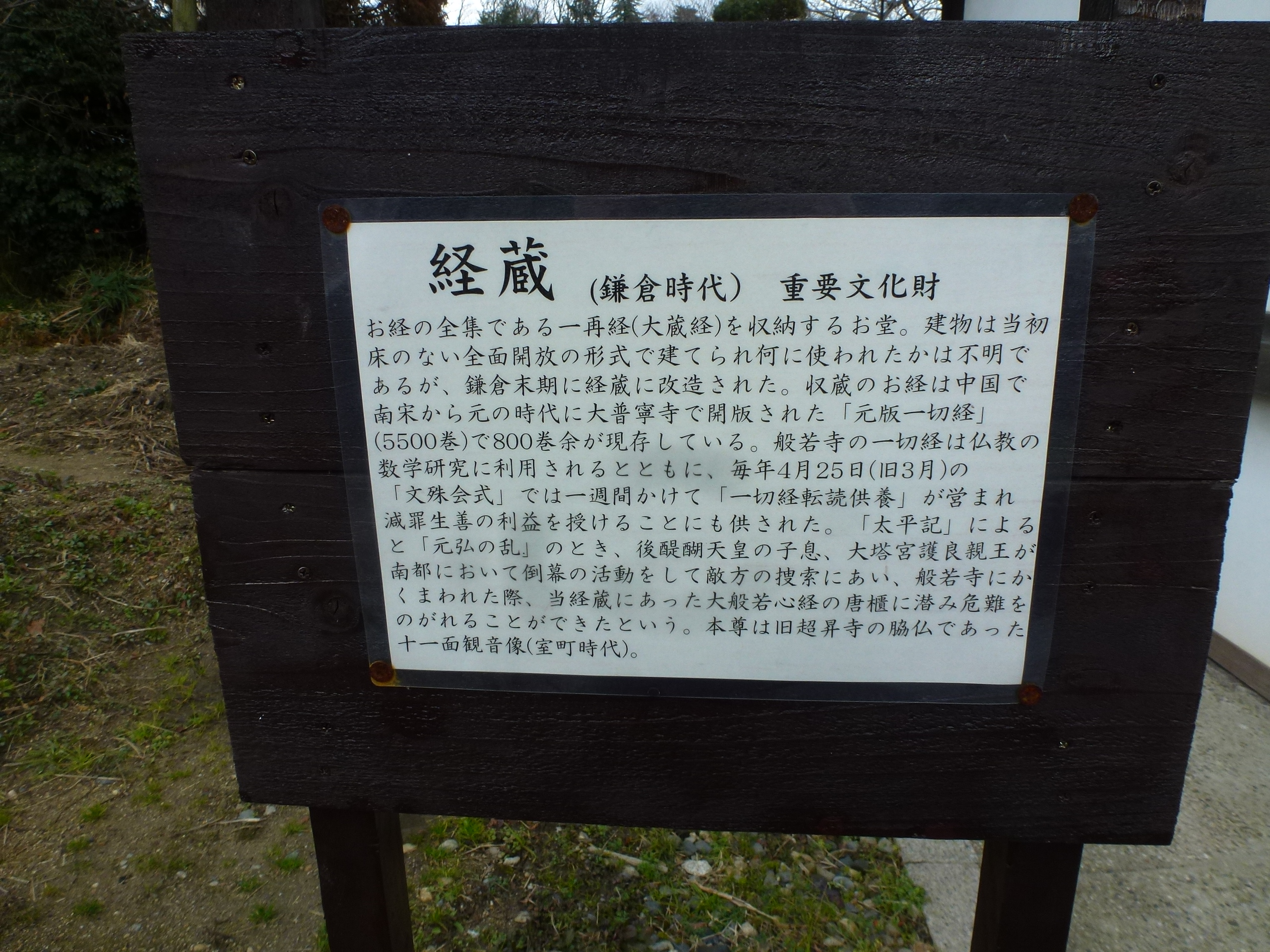 P1150111.JPG