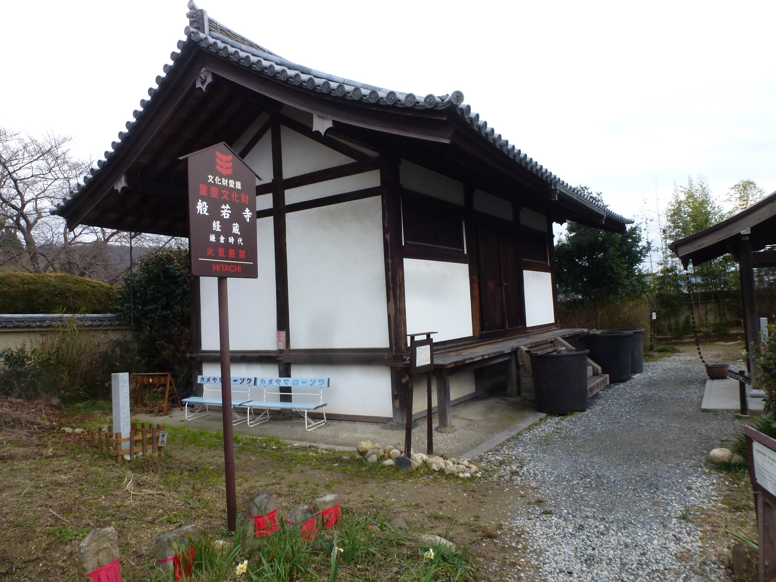 P1150112.JPG