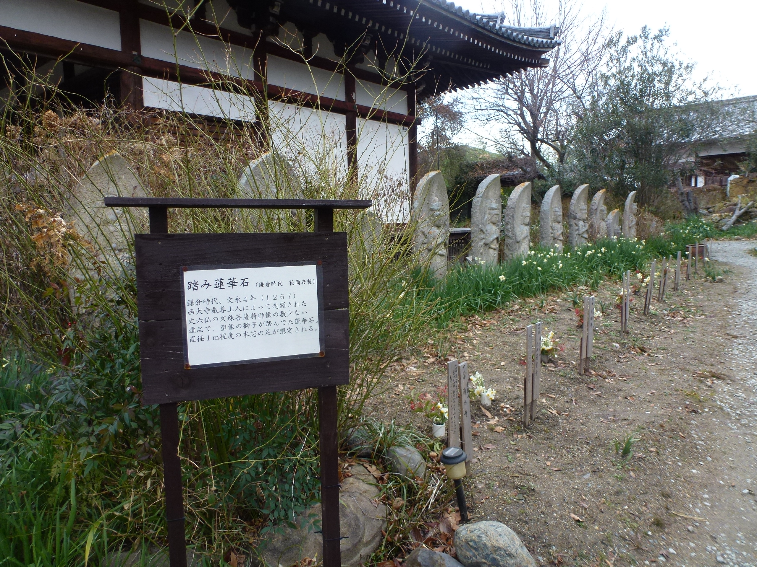 P1150115.JPG