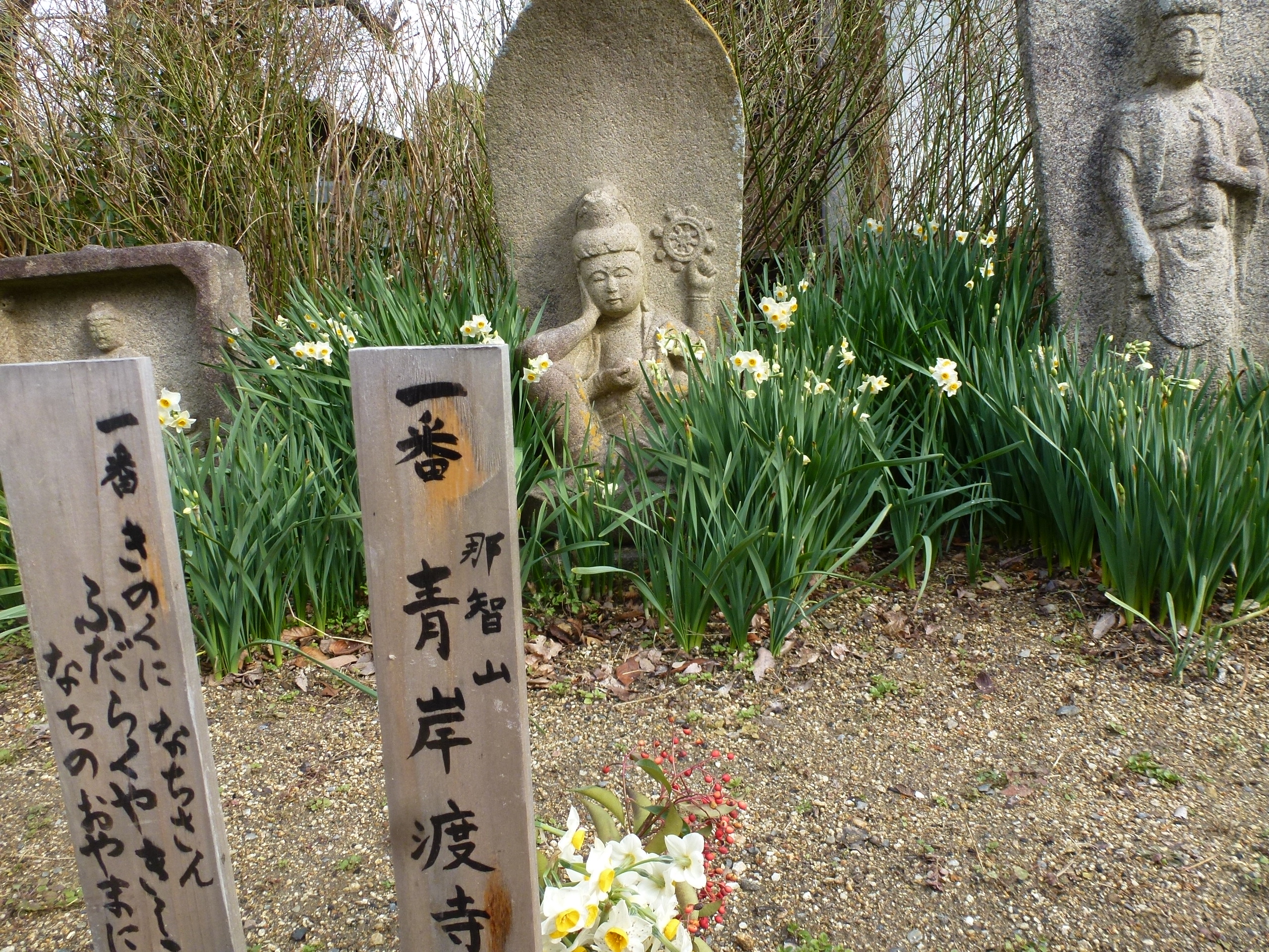 P1150125.JPG