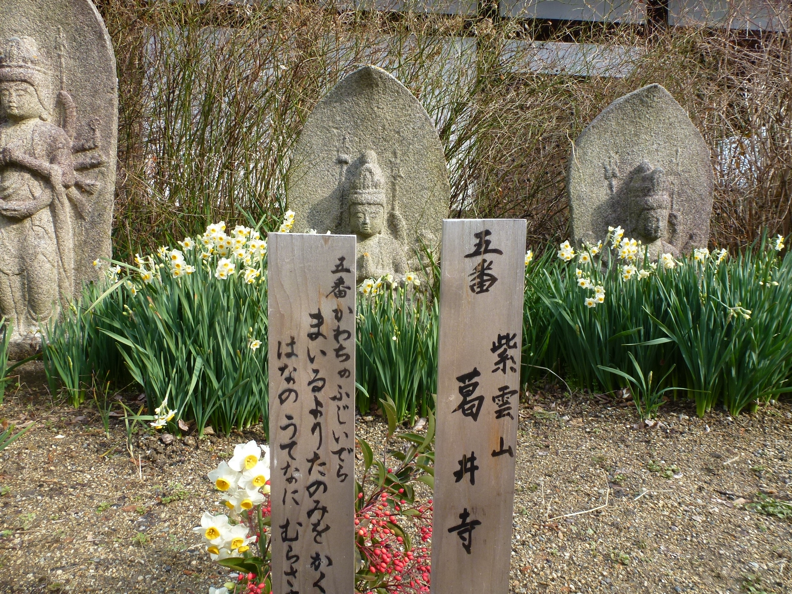 P1150129.JPG