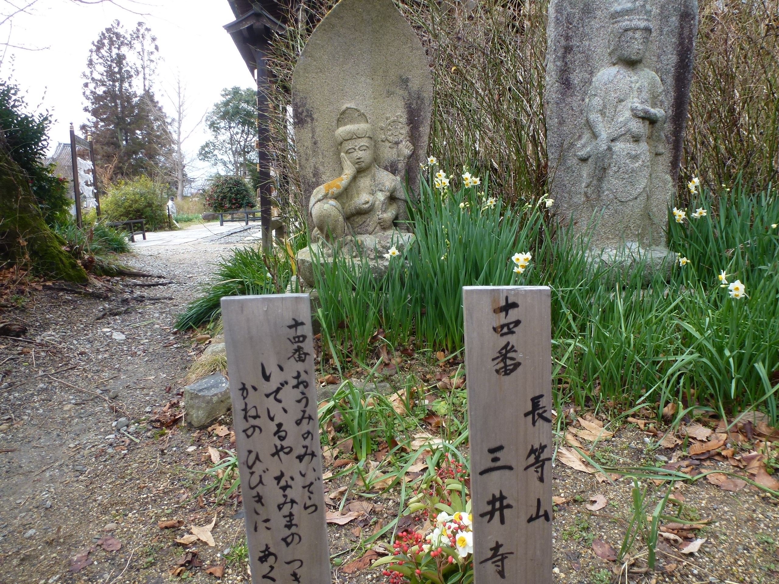 P1150131.JPG