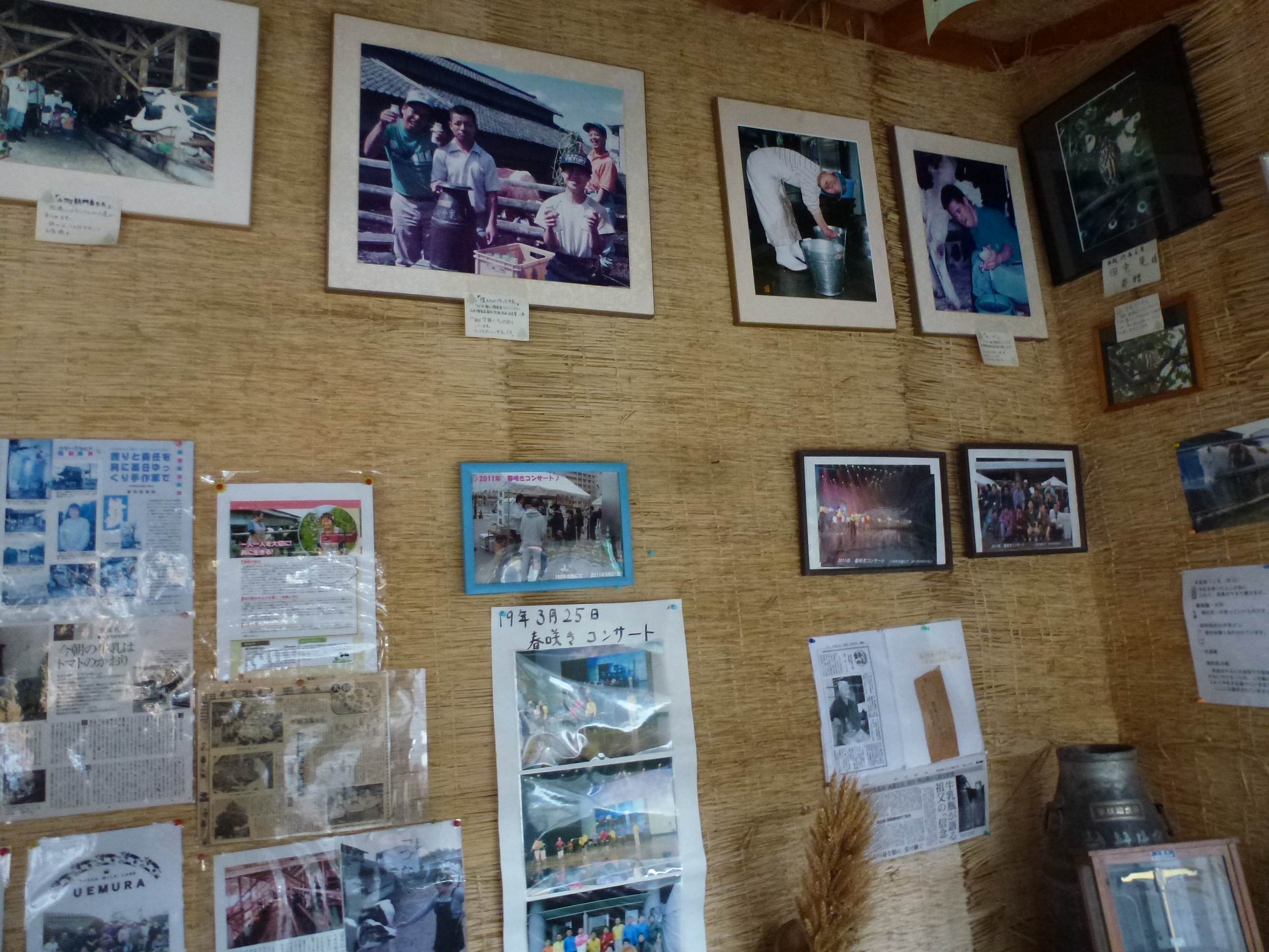 P1150143.JPG