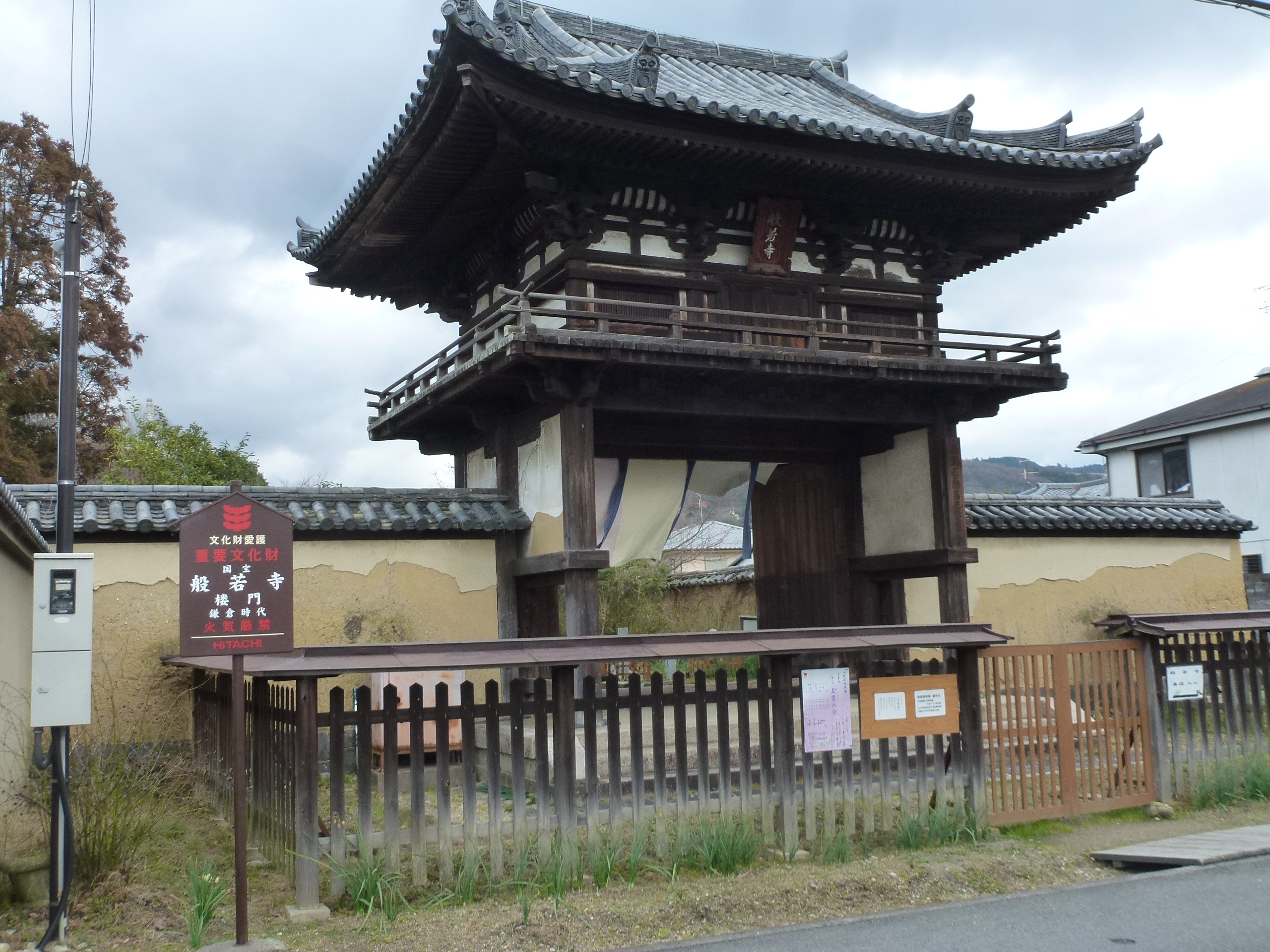 P1150144.JPG