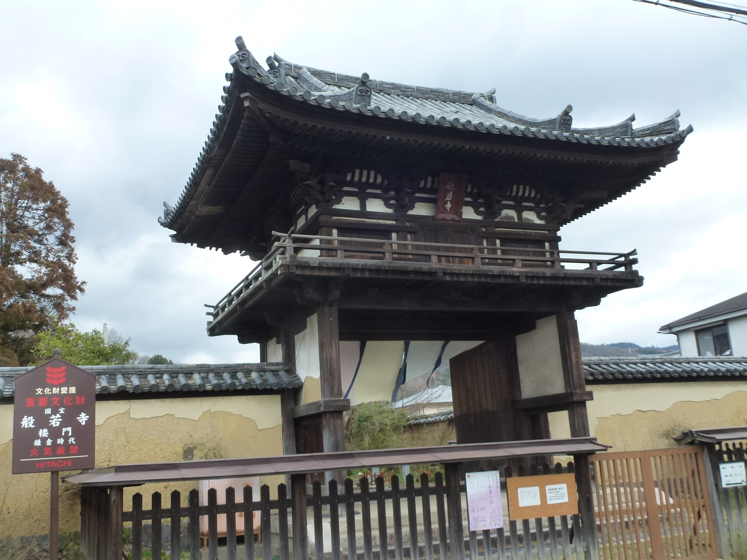 P1150145.JPG