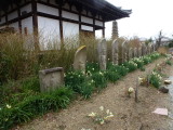 img0005.jpg