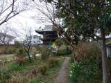 img0010.jpg