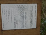 img0012.jpg