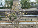 img0030.jpg