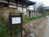 img0035.jpg