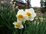 img0038.jpg