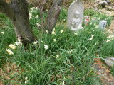 img0039.jpg