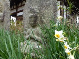 img0040.jpg