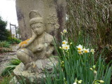 img0041.jpg