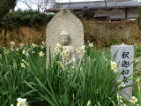 img0042.jpg