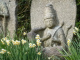 img0043.jpg