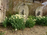 img0046.jpg